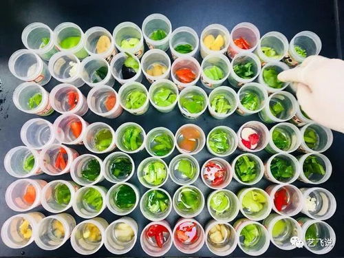 武汉节前农产品质量安全获坚实保障，189批次抽检结果全数合格