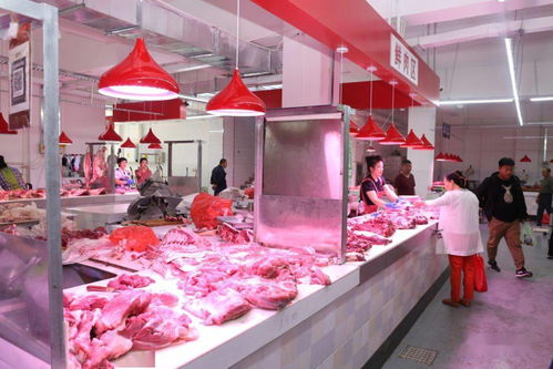 白城市节日市场生活必需品供应充足平稳 食用农产品批发市场运行良好