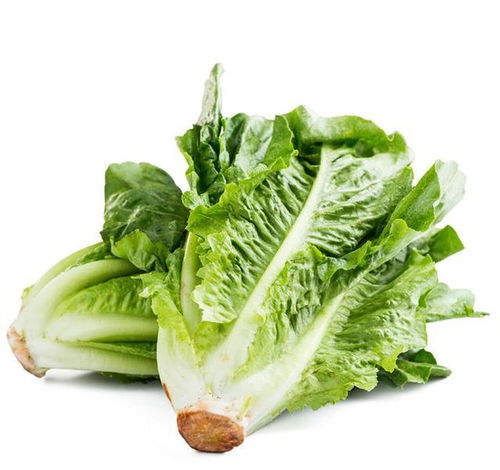 家长们看过来 这四种食物给孩子吃，好消化更长个