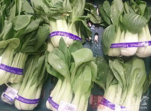 解读食用农产品入场交易法规制度——以食用农产品批发环节为中心